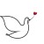 Photo de S