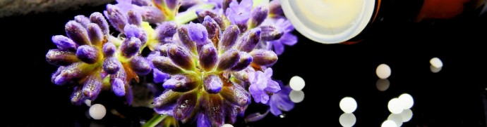 Phytembryothérapie illustration