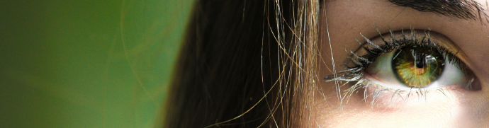 Iridologie illustration