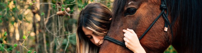 Équithérapie illustration