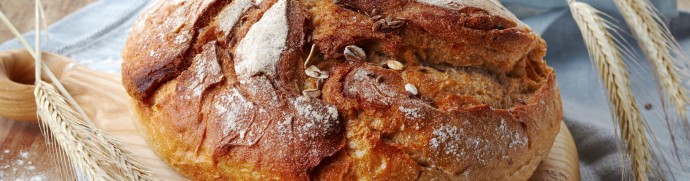 Intolérance au gluten illustration