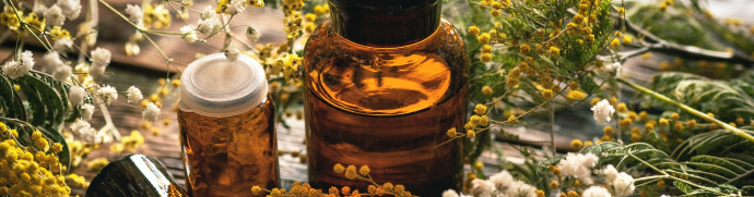 La phytothérapie contre la constipation illustration